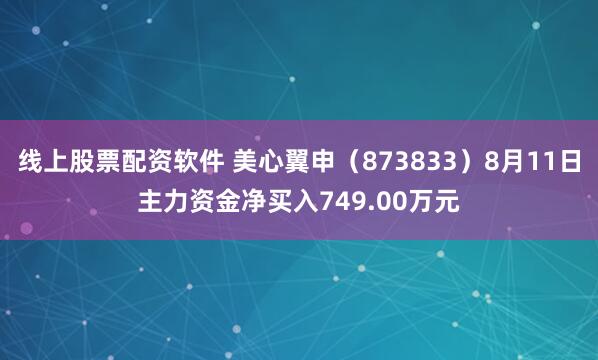 线上股票配资软件 美心翼申（873833）8月11日主力资金净买入749.00万元
