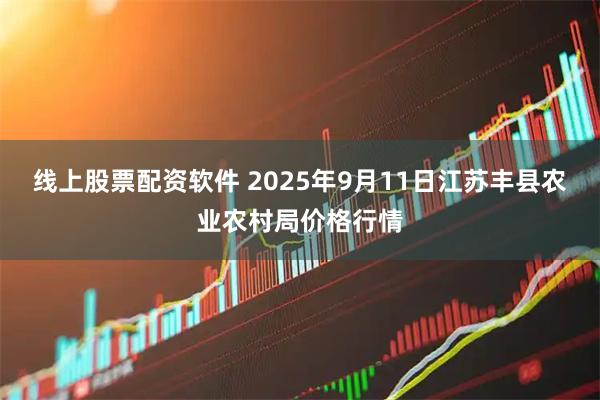 线上股票配资软件 2025年9月11日江苏丰县农业农村局价格行情