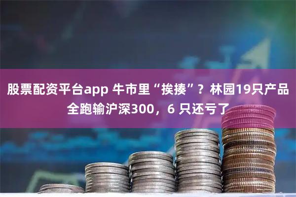 股票配资平台app 牛市里“挨揍”？林园19只产品全跑输沪深300，6 只还亏了