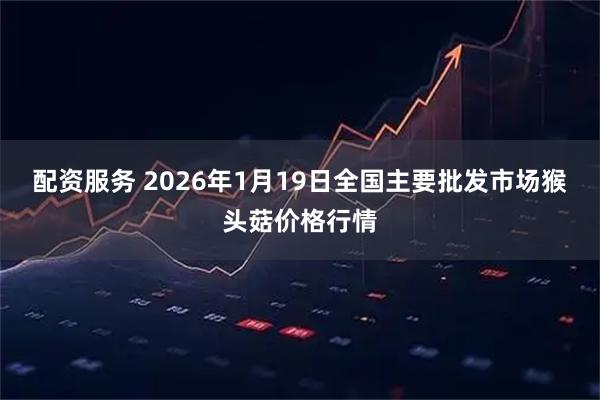 配资服务 2026年1月19日全国主要批发市场猴头菇价格行情