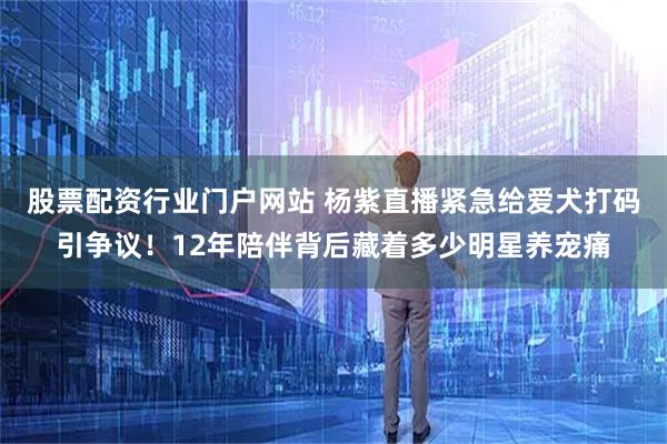 股票配资行业门户网站 杨紫直播紧急给爱犬打码引争议！12年陪伴背后藏着多少明星养宠痛